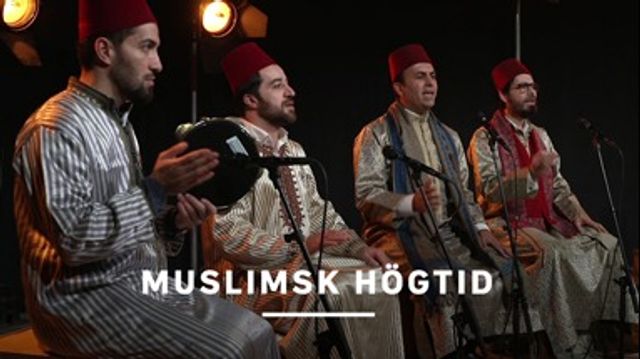 Foto: Faksimil/SVT.