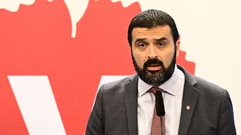 Vänsterpartiets tidigare ekonomipolitiske talesperson Ali Esbati. Foto: Jonas Ekströmer/TT