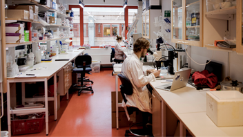 Inga skjutningar, termosbomber, balkongflickor eller upplopp – men ändå misslyckad integration. Foto: Tim Aro/TT