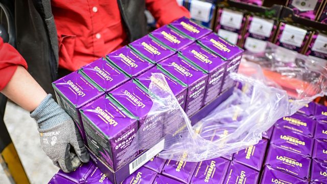 .Foto: Björn Larsson Rosvall / TT