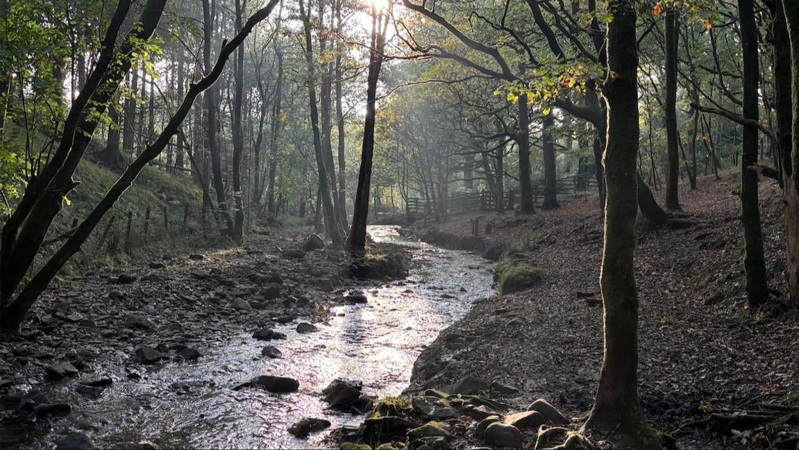 En bild apropå ingenting i artikeln Foto: Dan Korn