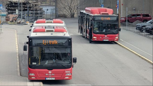 Det kan bli billigt att ta bussen i sommar. Foto: AleWi (CC BY-SA 4.0) 