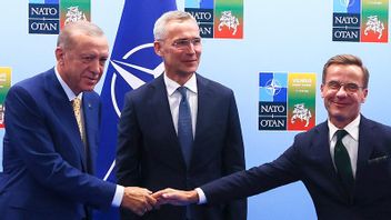 Recep Tayyip Erdogan och Ulf Kristersson vid mötet i Vilnius Foto: Yves Herman/AP/TT