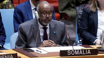 Abukar Dahir Osman. Foto: Richard Drew/AP/TT.