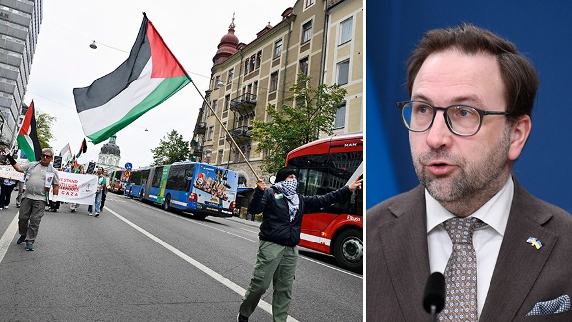 Palestinademonstration vid Odenplan i juli och riksdagsledamoten Fredrik Malm (L). Foto: Oscar Olsson/Viktoria Bank/TT
