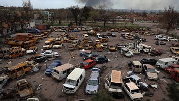 Förstörda bilar utanför stålverket i Mariupol. Foto: Alexei Alexandrov/AP/TT