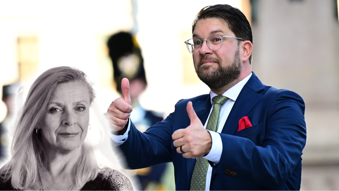 Vill Åkesson har en rättsstat eller en lynchmobb? Foto: Magnus Lejhall/TT