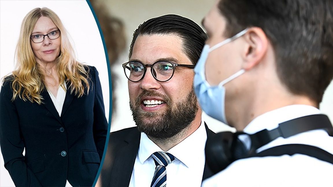 Jimmie Åkesson – attraherar socioekonomiskt utmanade? Foto: Karl Gabor / Claudio Bresciani/TT