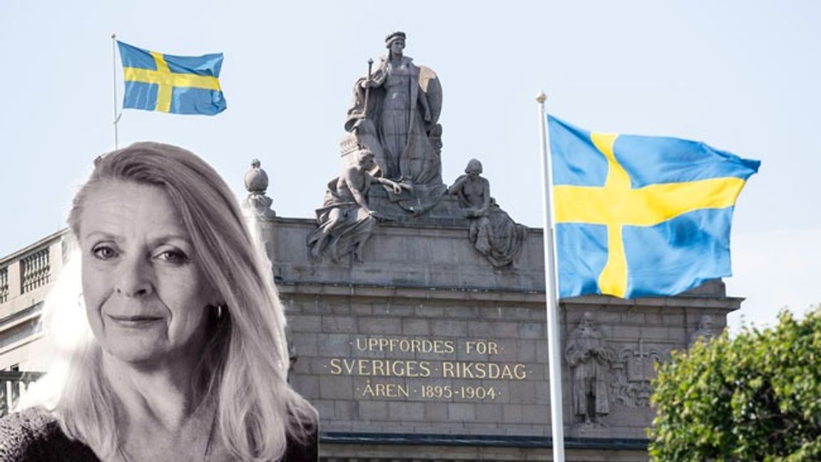 ”Vårt land har, genom våra politikers förtjänst, förvandlats till ett mångkulturellt kaos”, skriver Birgitta Sparf. Foto: Fredrik Sandberg/TT. 