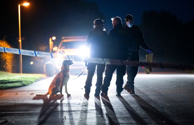Polis med specialsökhund och kriminaltekniker efter dödsskjutningen i ett villaområde i centrala Skurup i augusti förra året. Arkivbild. Foto: Johan Nilsson/TT
