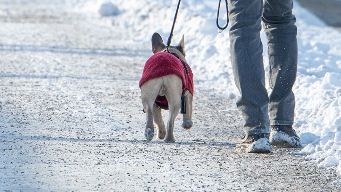 Genrebild. Foto: Samuel Steén/TT