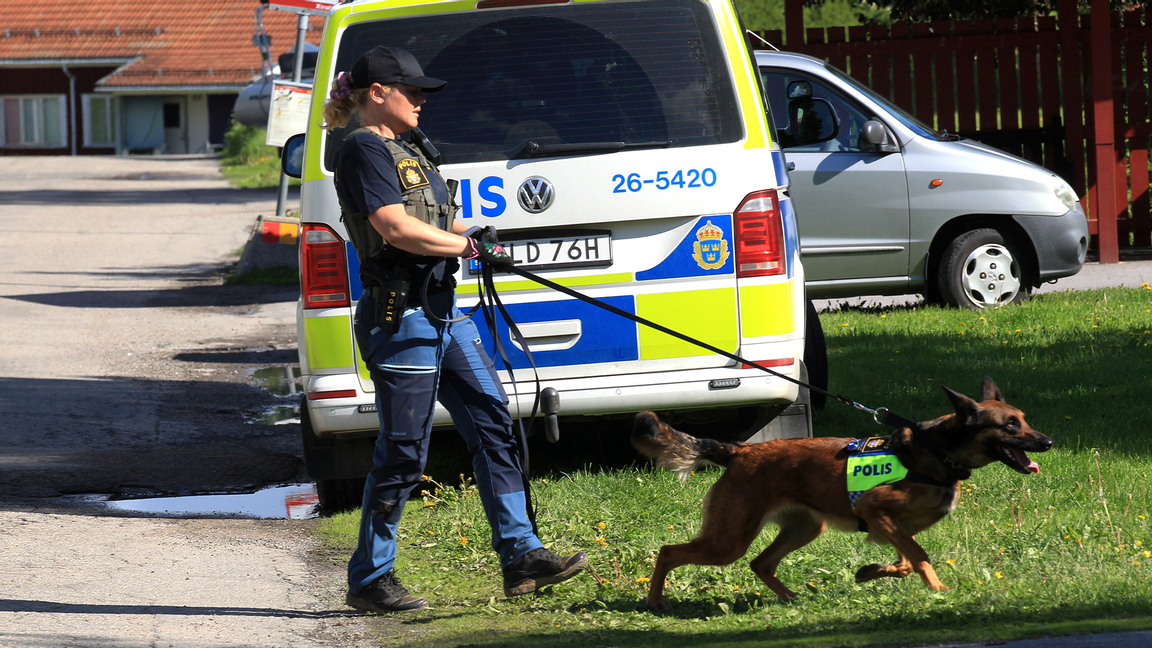 Hundförare under en sökinsats kring pojkens hem. Foto: Pernilla Wahlman/TT