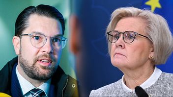 Jimmie Åkesson vill se leverans från rikspolischefen Petra Lundh. Foto: TT