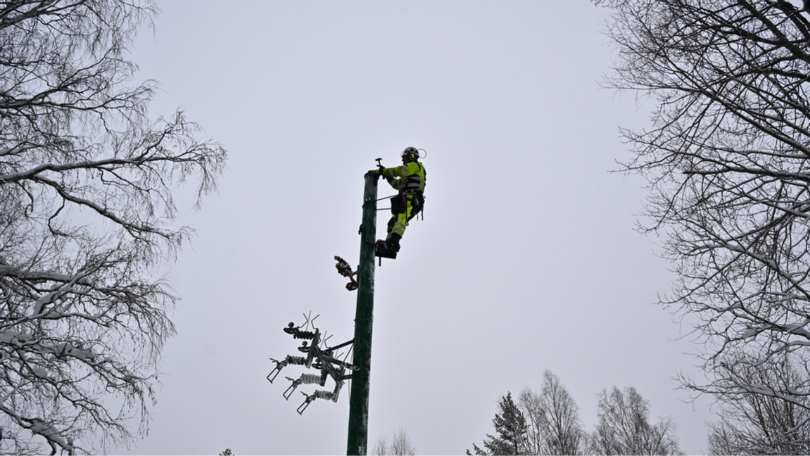 700 hushåll strömlösa i Gävleborg sedan mellandagarna. Foto: Anders Wiklund/TT