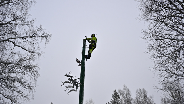 700 hushåll strömlösa i Gävleborg sedan mellandagarna. Foto: Anders Wiklund/TT