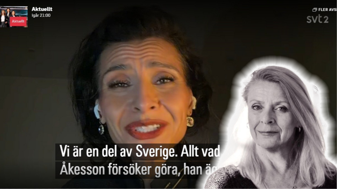 Norrländsk tystlåtenhet. Foto: Sveriges television, Aktuellt, 31-03-2026