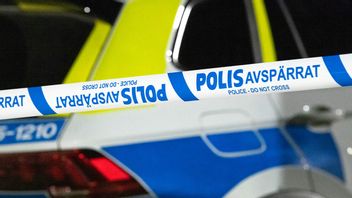 Arkivbild: Foto: Johan Nilsson/TT