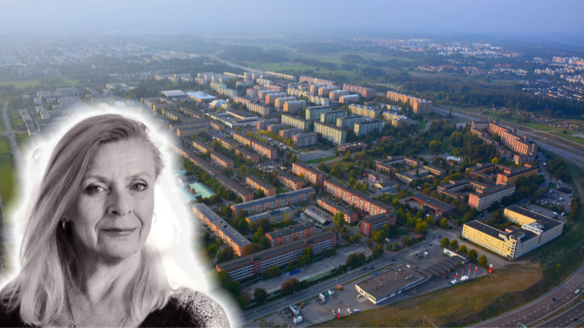 Det förlovade landet – Little Mogadishu/Rinkeby. Foto: Johan Fredriksson, CC BY-SA 3.0, via Wikimedia Commons