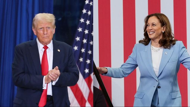 Republikanernas Donald Trump och Demokraternas Kamala Harris. Foto: ADAM BETTCHER, JOHN BAZEMORE/ AP /TT