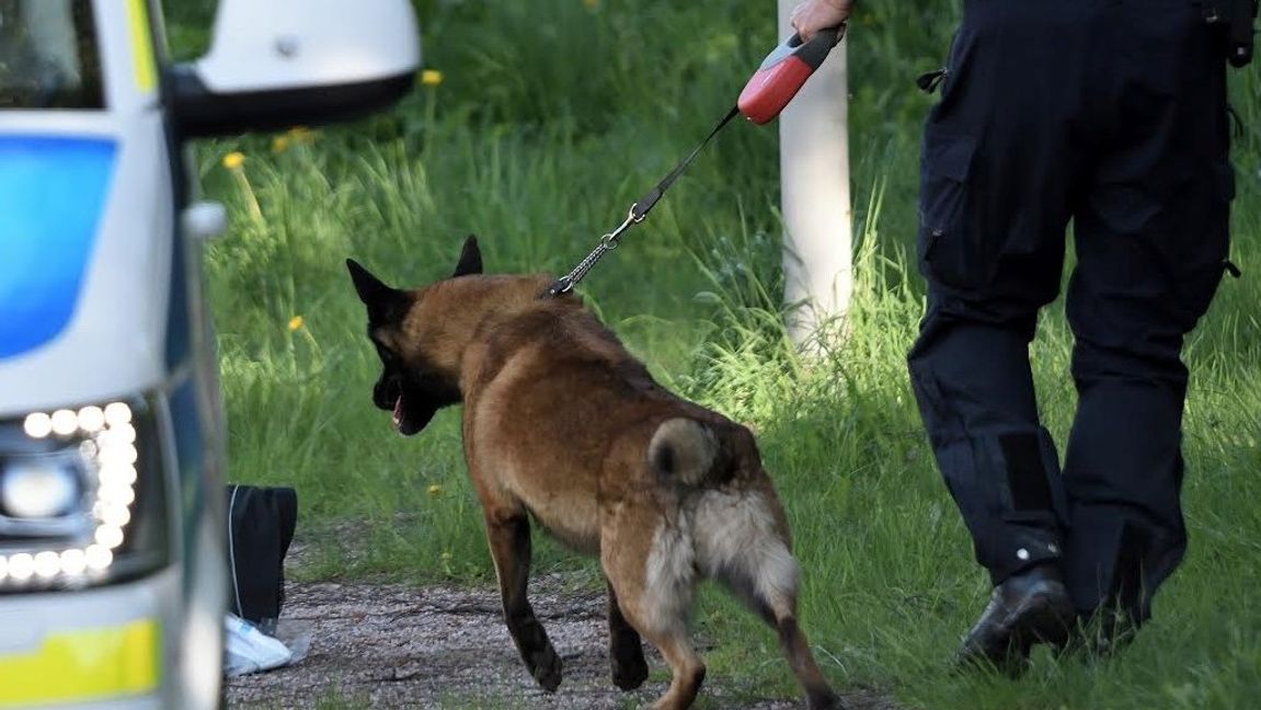 Polis undersöker platsen där kvinnan hittades död, fyra dagar efter det att hon anmälts försvunnen i maj 2018. Arkivbild. Foto: Niklas Lindahl/TT