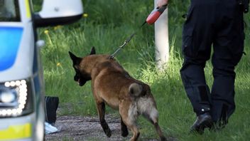 Polis undersöker platsen där kvinnan hittades död, fyra dagar efter det att hon anmälts försvunnen i maj 2018. Arkivbild. Foto: Niklas Lindahl/TT