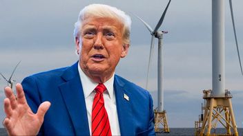 Donald Trumps energiminister pausar vindkraftsbygge. Foto: AP