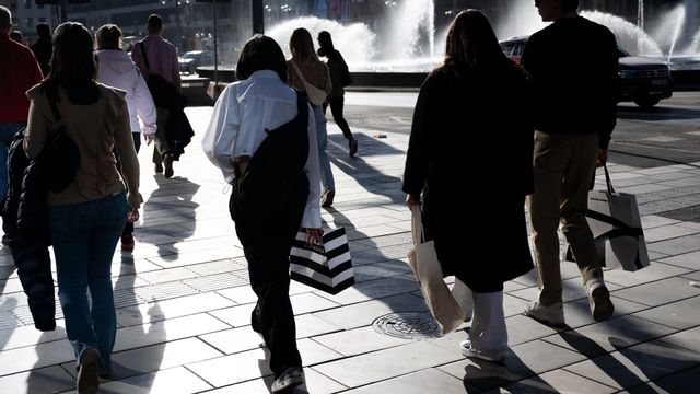 Unionen spår en ljus framtid på arbetsmarknaden. Foto: Henrik Montgomery/TT