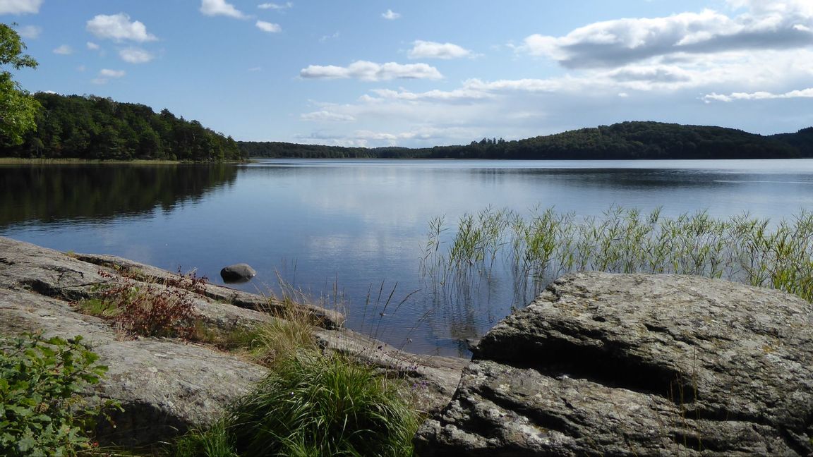 Man misshandlad vid sjö avliden