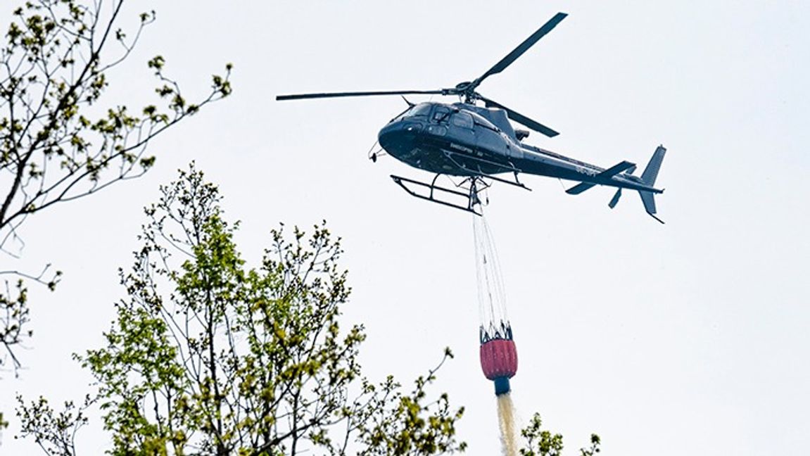 Genrebild. Bilden är tagen vid ett annat tillfälle. Foto: Johan Nilsson/TT