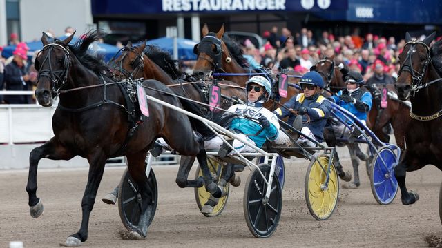 Travlördag: Klassiska Hagmyren ställer till med stortrav