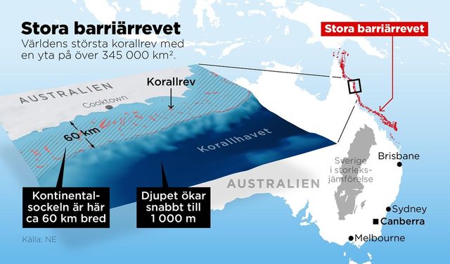 Barriärrevet ligger på kontinentalsockeln vid Australiens nordostkust. Anders Humlebo/TT