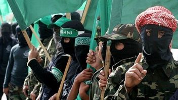 Nio misstänkta Hamas-terrorister har gripits. Foto: Hadi Mohammad (CC BY-SA 4.0)