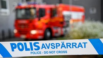 Arkivbild. Foto: Henrik Montgomery/TT.