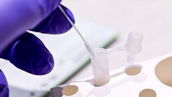 Nya karantänsregler är på gång från Folkhälsomyndigheten. Foto: Johan Nilsson/TT