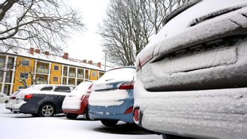 Snö på parkerade bilar. Foto: Janerik Henriksson / TT 