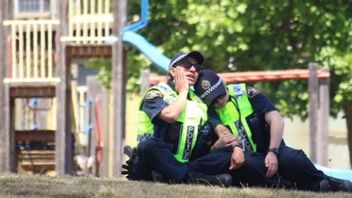 Många var i chock efter olyckan på Tasmanien. Foto: ABC News