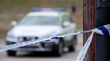 Arkivbild Foto: Johan Nilsson/TT
