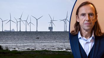 Vindkraft kräver stöd. Foto: Johan Nilsson/TT