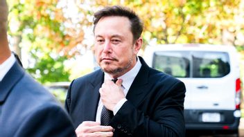 Elon Musk. Foto: Jacquelyn Martin/AP