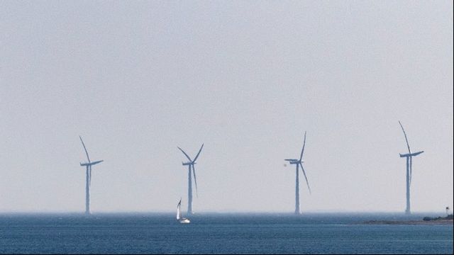 Foto: Johan Nilsson/TT