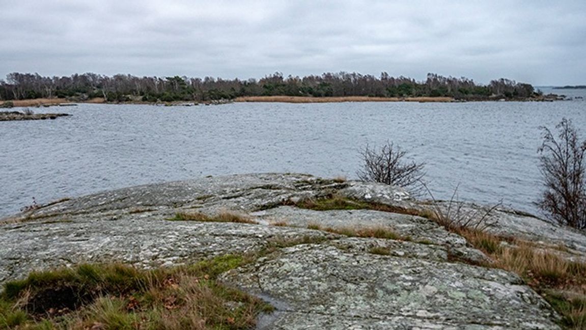 Ön Varö i Karlskrona skärgård sedd från Skillingenäs. Den 57-årige man som försvann från sitt hem i centrala Karlskrona hittades död på Varö i november 2020. Foto: Johan Nilsson/TT