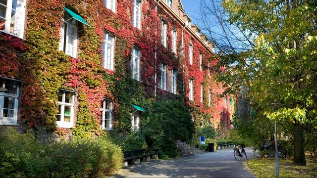 Institutionen för genusvetenskap läggs ner av Lunds universitet som en egen enhet. Foto: Mikael Risedal