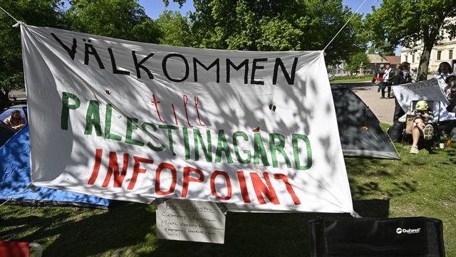 Infocenter i det ockuperade Palestinagård. Foto: Johan Nilsson/TT 