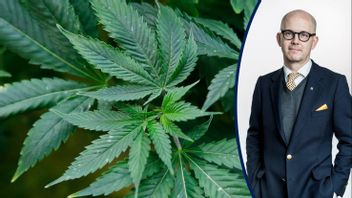 Foto: Sue Ogrocki, AP/TT.