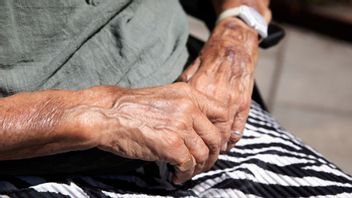 Misstag sker så lätt. Ibland serverar jag min katt kräm med mjölk när den egentligen vill ha kattmat. Foto: Mickan Mörk/TT