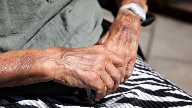 Misstag sker så lätt. Ibland serverar jag min katt kräm med mjölk när den egentligen vill ha kattmat. Foto: Mickan Mörk/TT