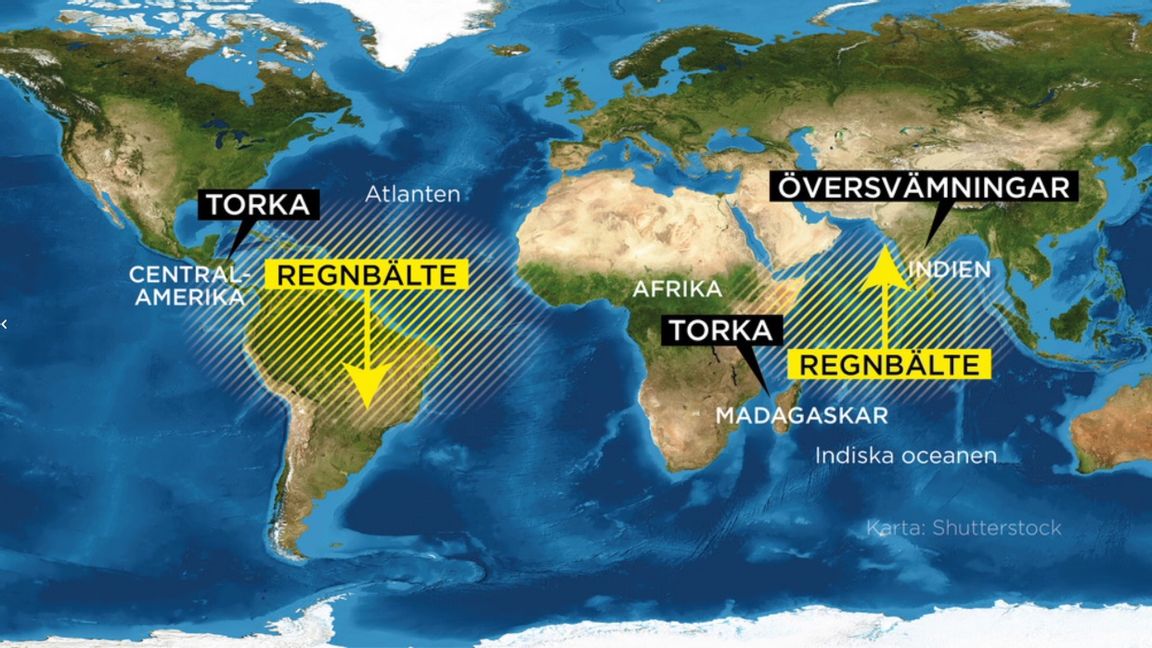 Regnbältet förskjuts åt olika håll på var sida om Afrika. Foto: Johan Hallnäs/TT. 
