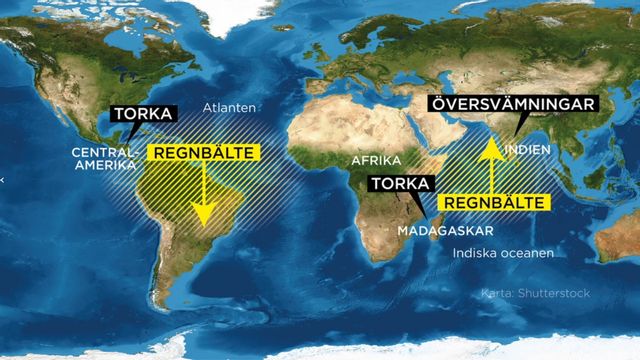 Regnbältet förskjuts åt olika håll på var sida om Afrika. Foto: Johan Hallnäs/TT.