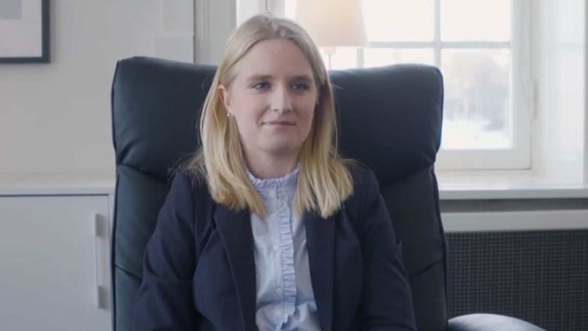 Foto: Skärmdump från Sverigedemokraternas Youtube.