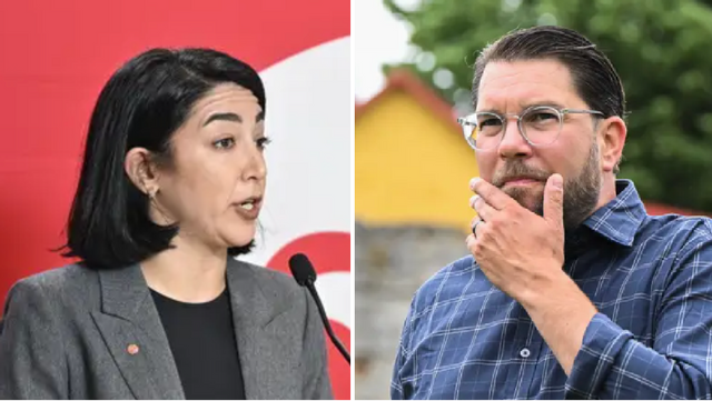 Lawen Redar (S) presenterar integrationspolitik som påminner starkt om SD:s tidigare förslag som S kritiserat hårt. Foto: Henrik Montgomery/Christine Olsson/TT